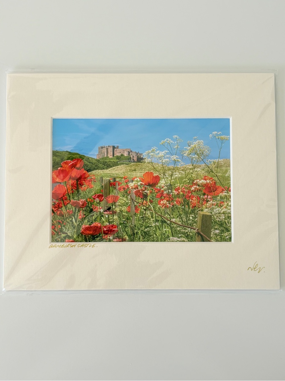 Matted Print “Bamburgh Castle Poppies" by Nick Goonan NEW